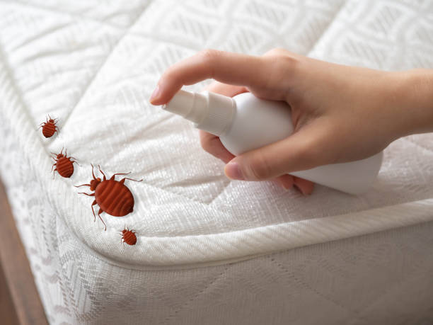 Best Pest Prevention Services  in North Baltimore, OH